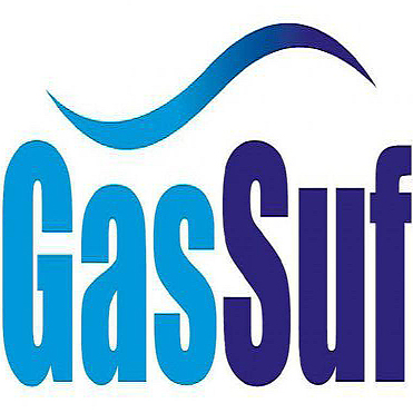 GasSuf: 러시아 가스모터 연료 산업의 핵심 비즈니스 플랫폼 GasSuf
